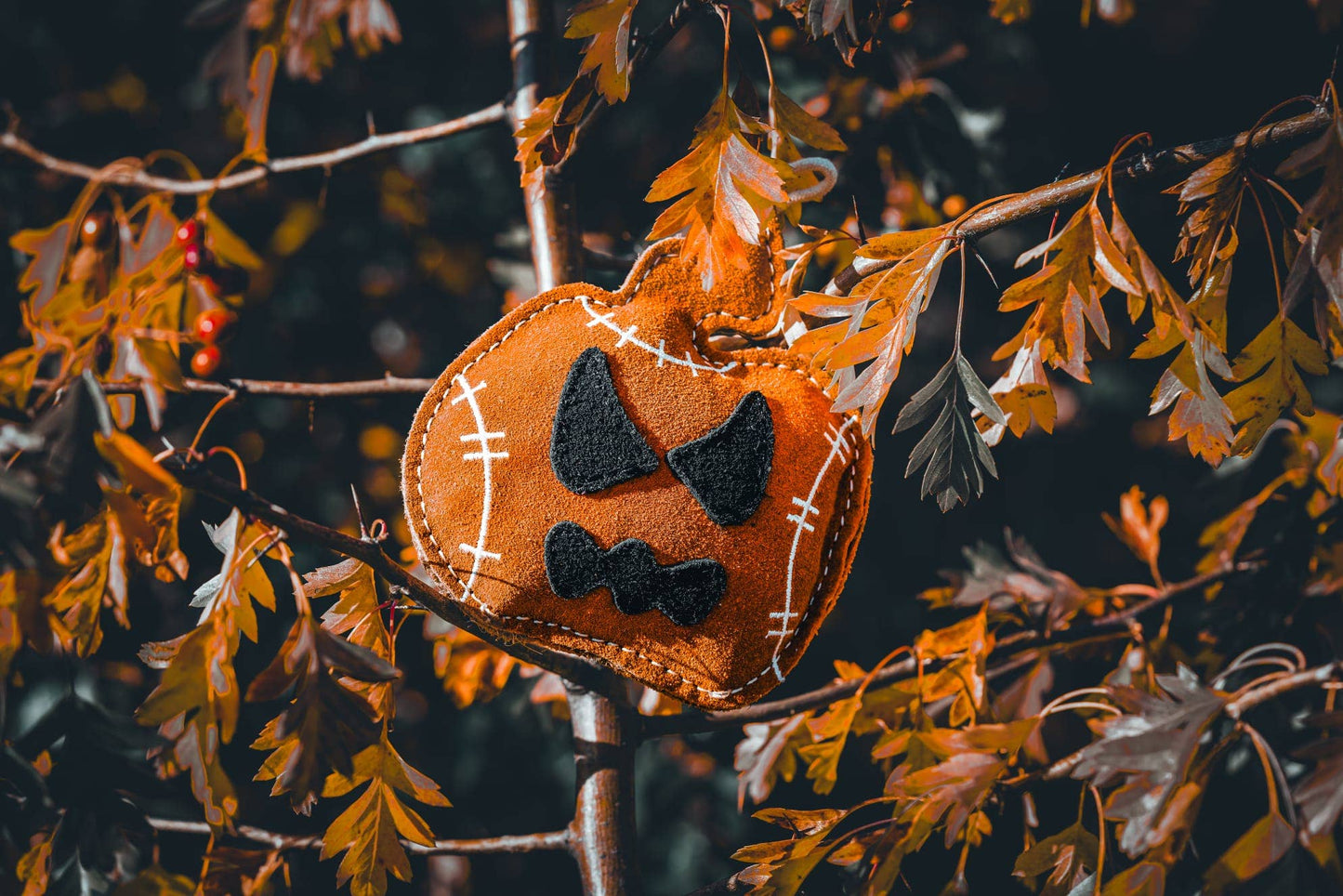 JACK THE LAD LANTERN Pumpkin shaped small breed Eco Dog Toy