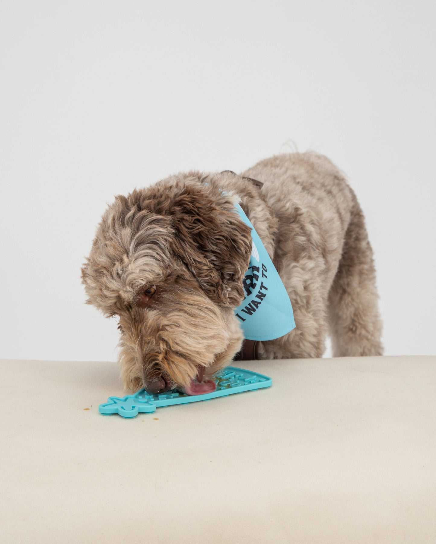 Dexy Paws Happy Bark Day Enrichment Lick Mat