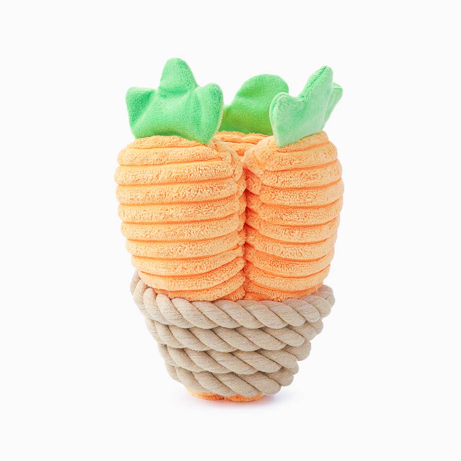 Carrot Bunch - Dog Rope Toy