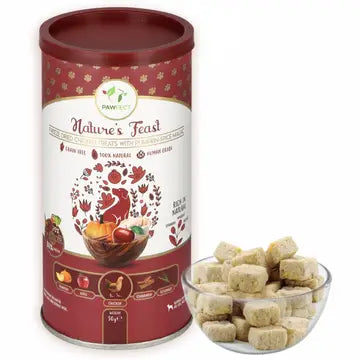 Pawfect Nature's Feast Chicken Treats - Pumpkin Spice