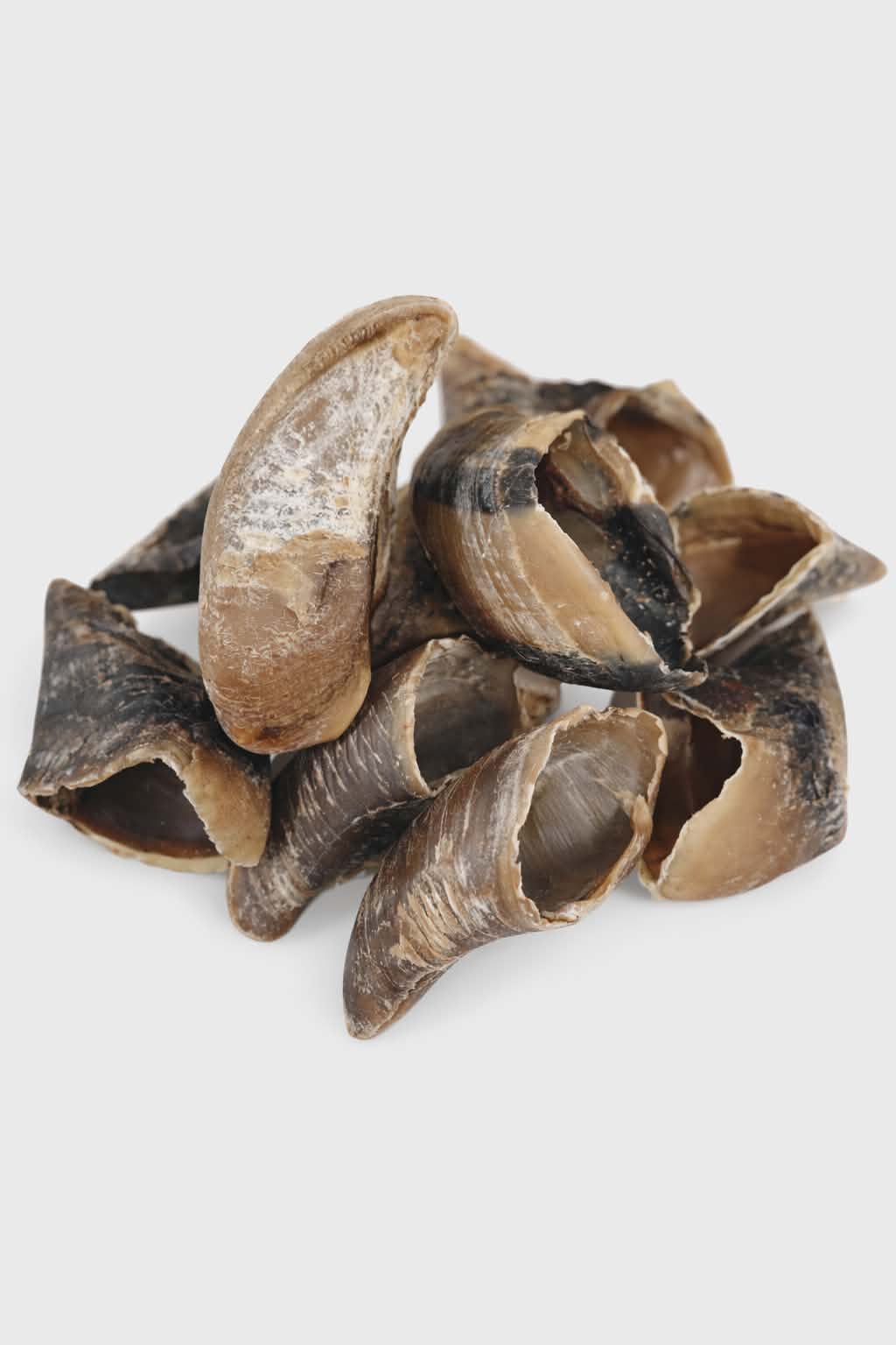 Empty Cow Hooves