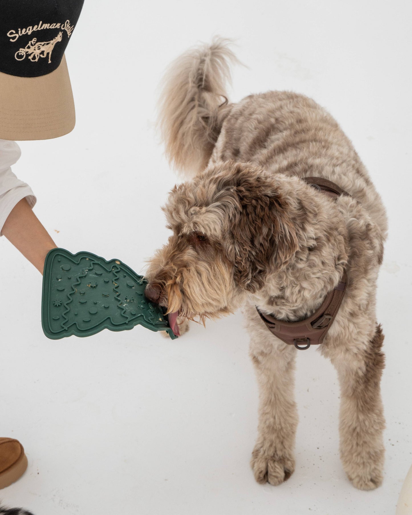 Christmas Edition: Christmas Tree Enrichment Lick Mat