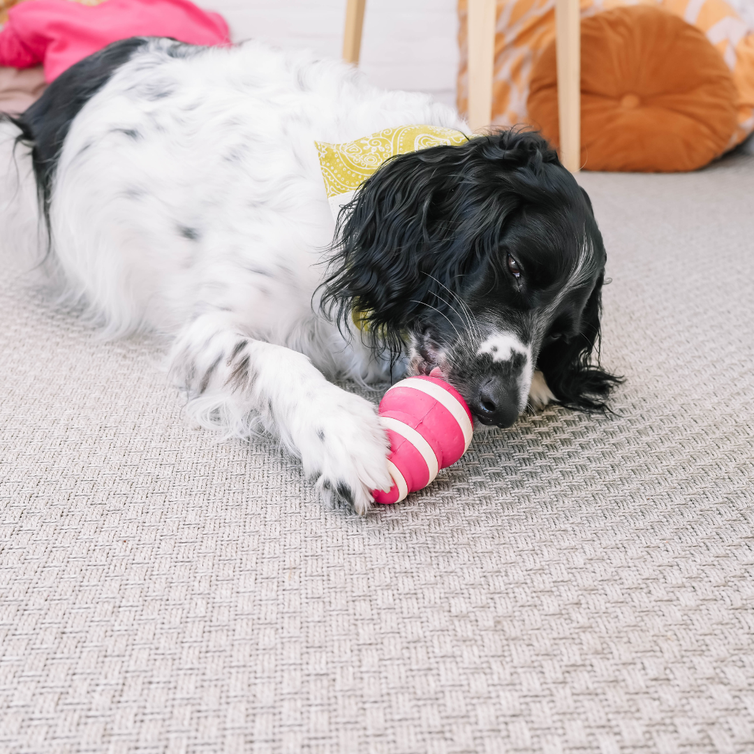 The Bubble Dog Feeder  - Lick Toy