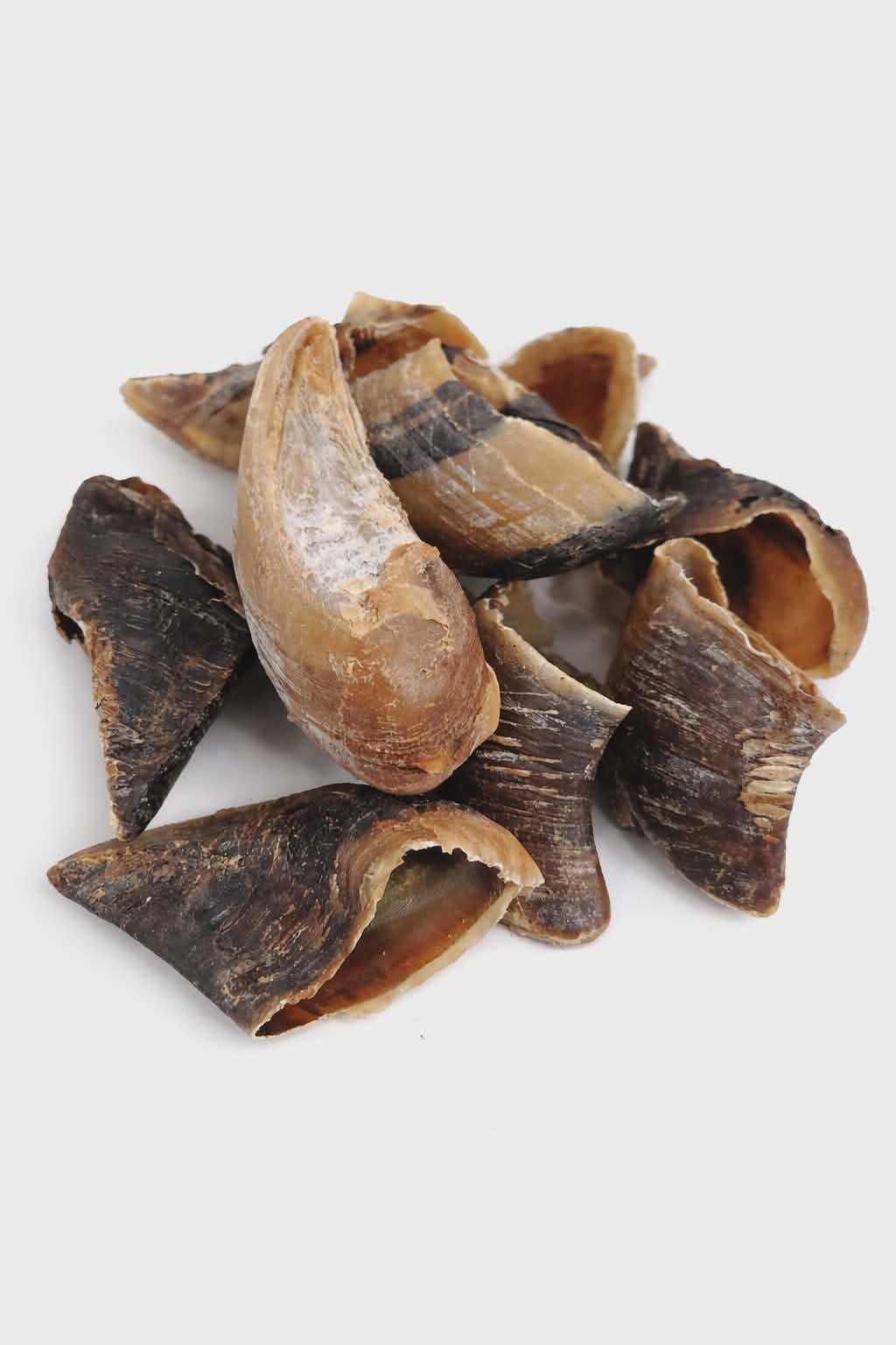 Empty Cow Hooves