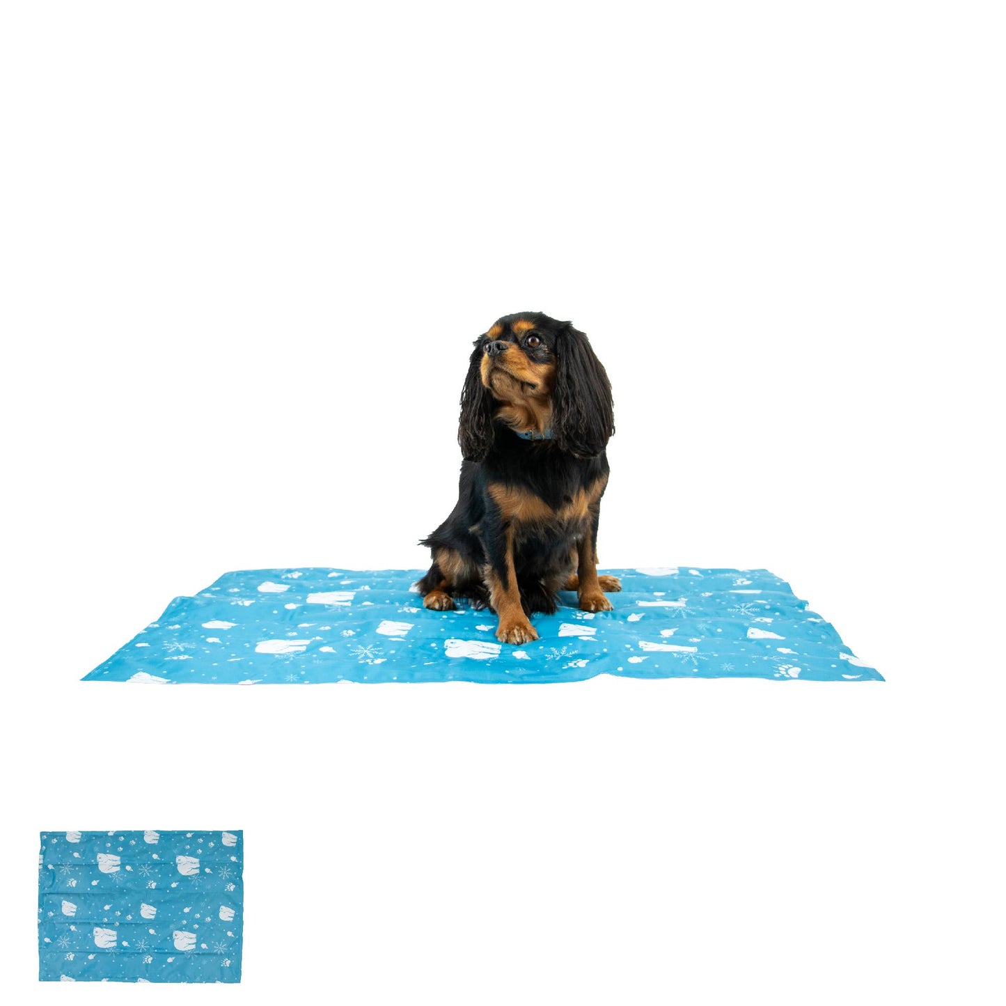 Ice Paws Cooling Mat