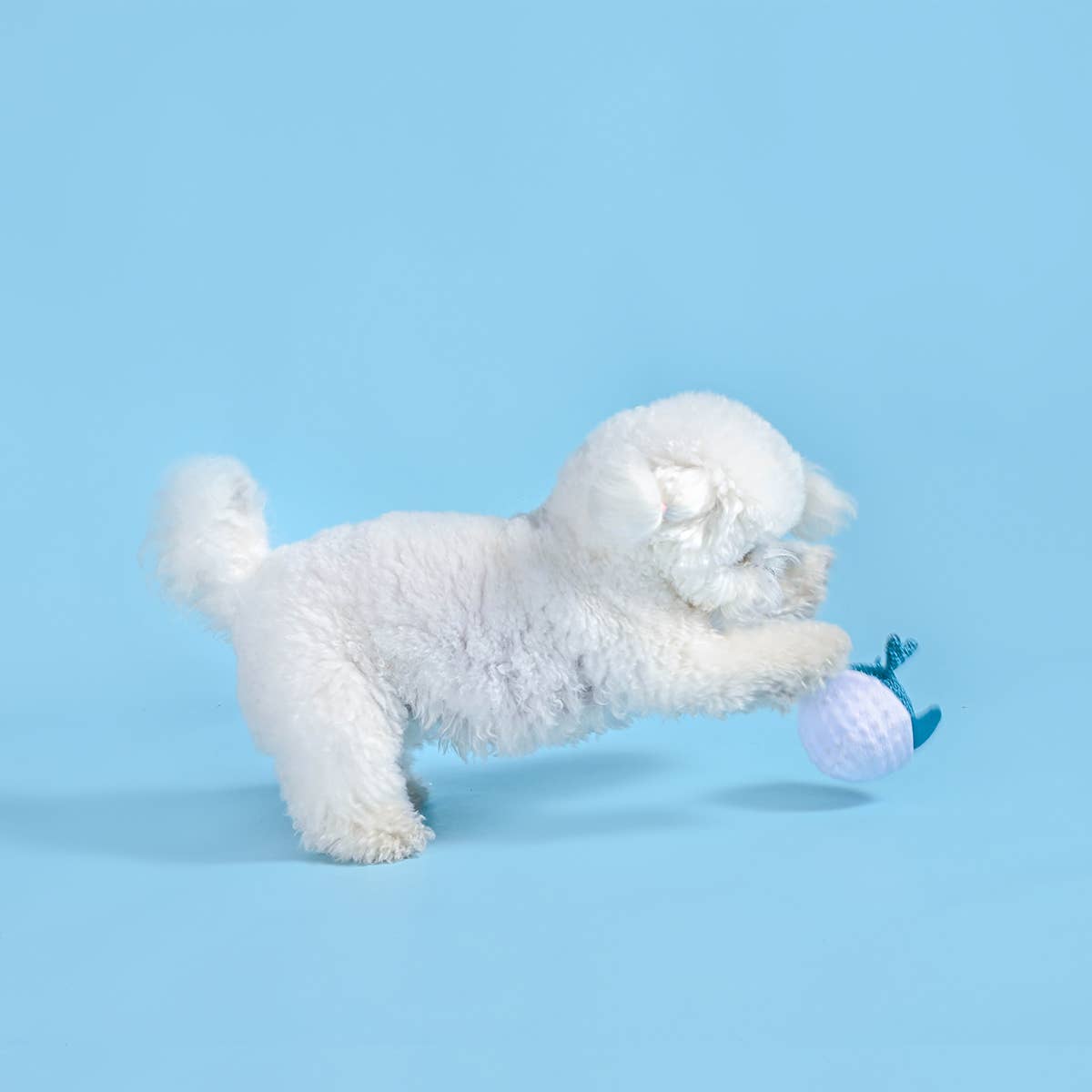 HugSmart Pet - Ocean Pals | Dolphin - Dog Ball Toy
