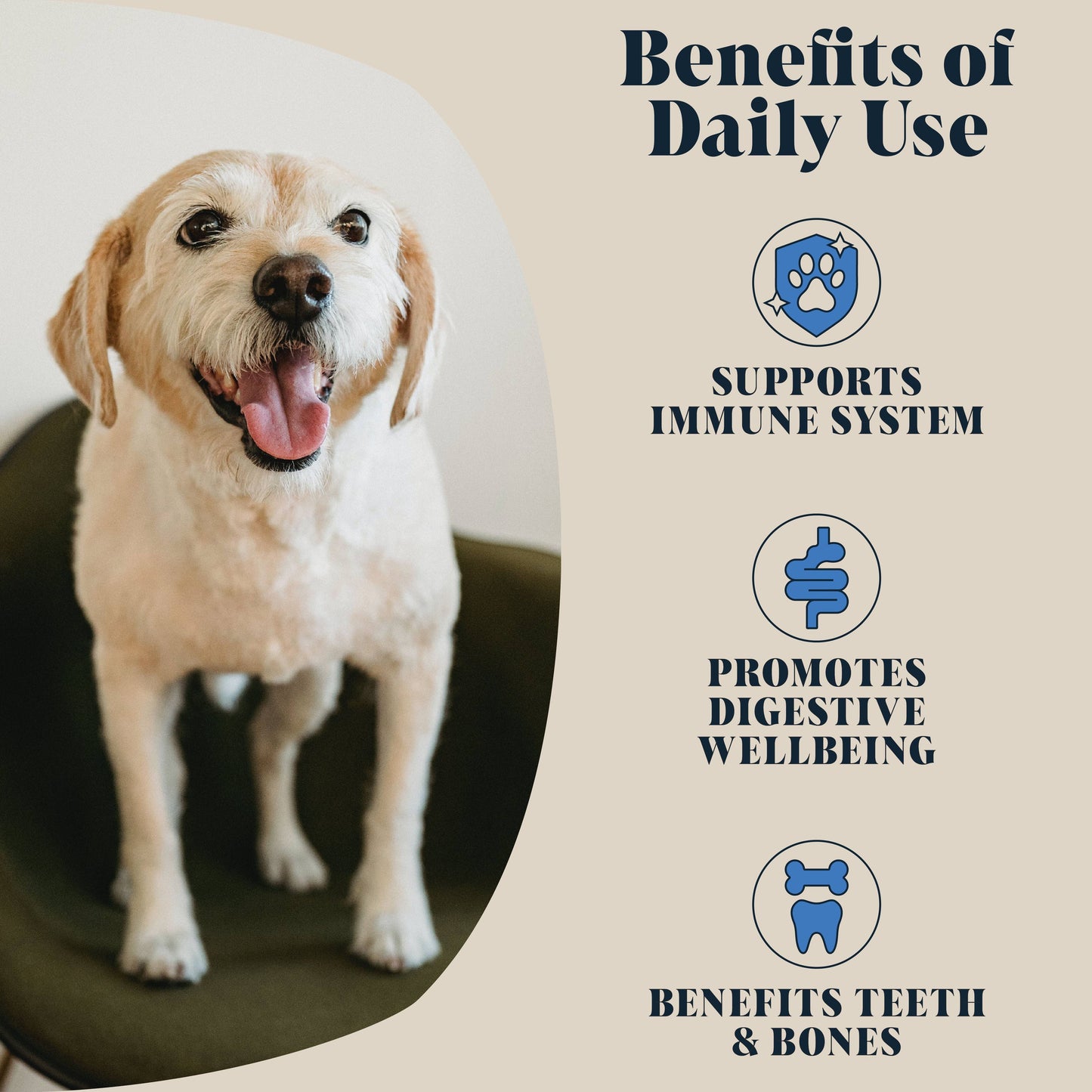 Hackney Dog House Goats Milk Powder for Dogs | Makes 6 Pints