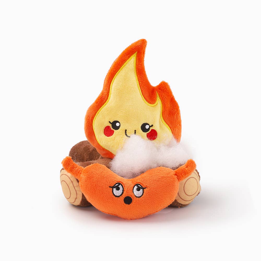 HugSmart Pet - Campfire Toy