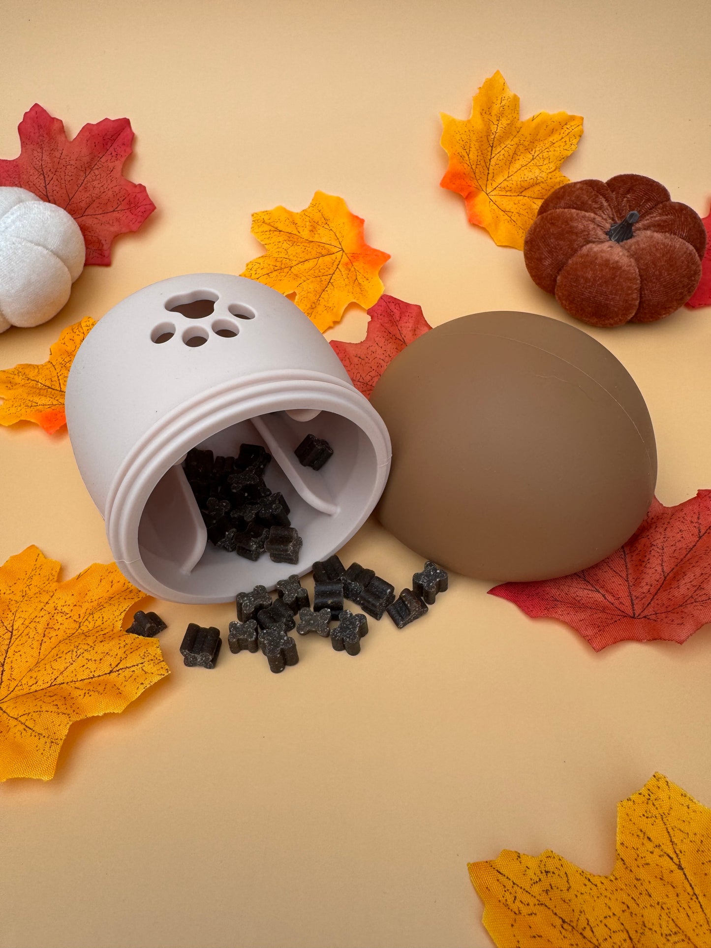 Mushroom Treat Dispenser