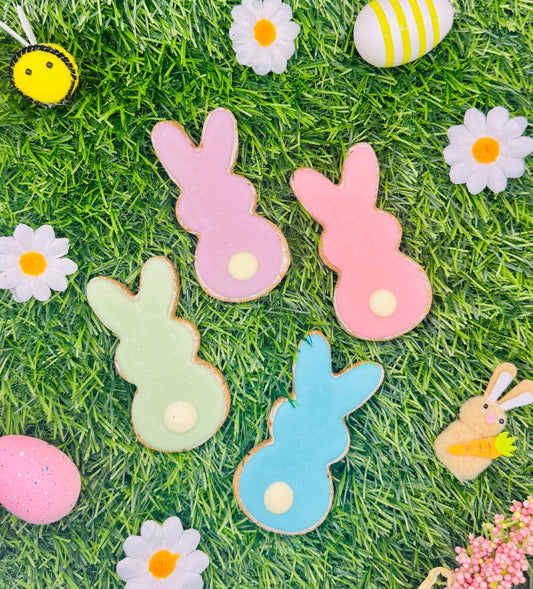 Nelson’s Treats Easter Bunny Biscuit | 4 Colours