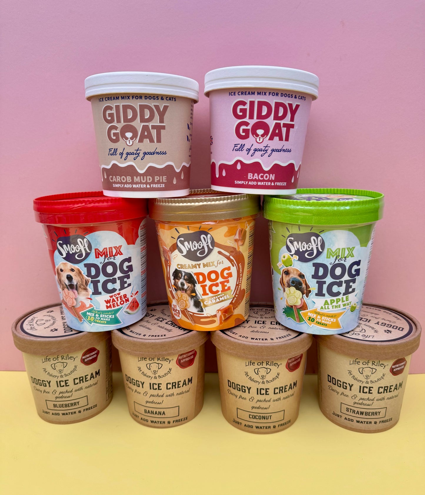 Pancakes & Paws Bundle