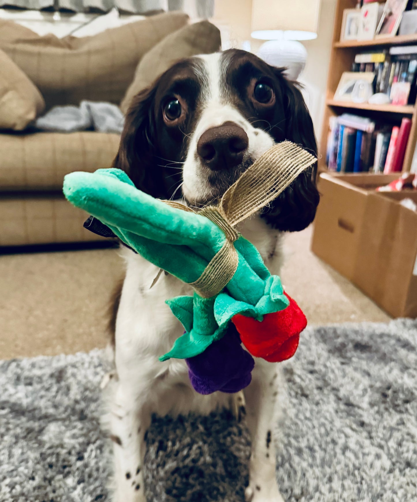Puppy Love Collection: Rover's Roses