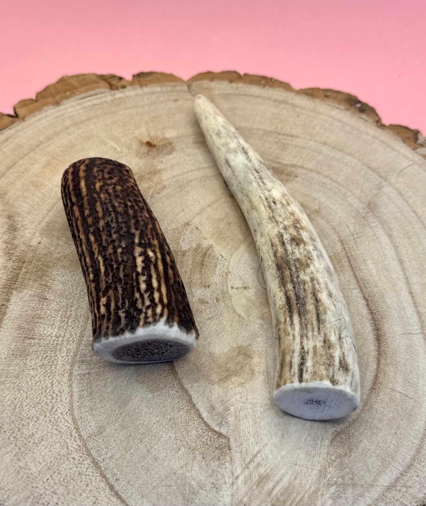 Antler | Small