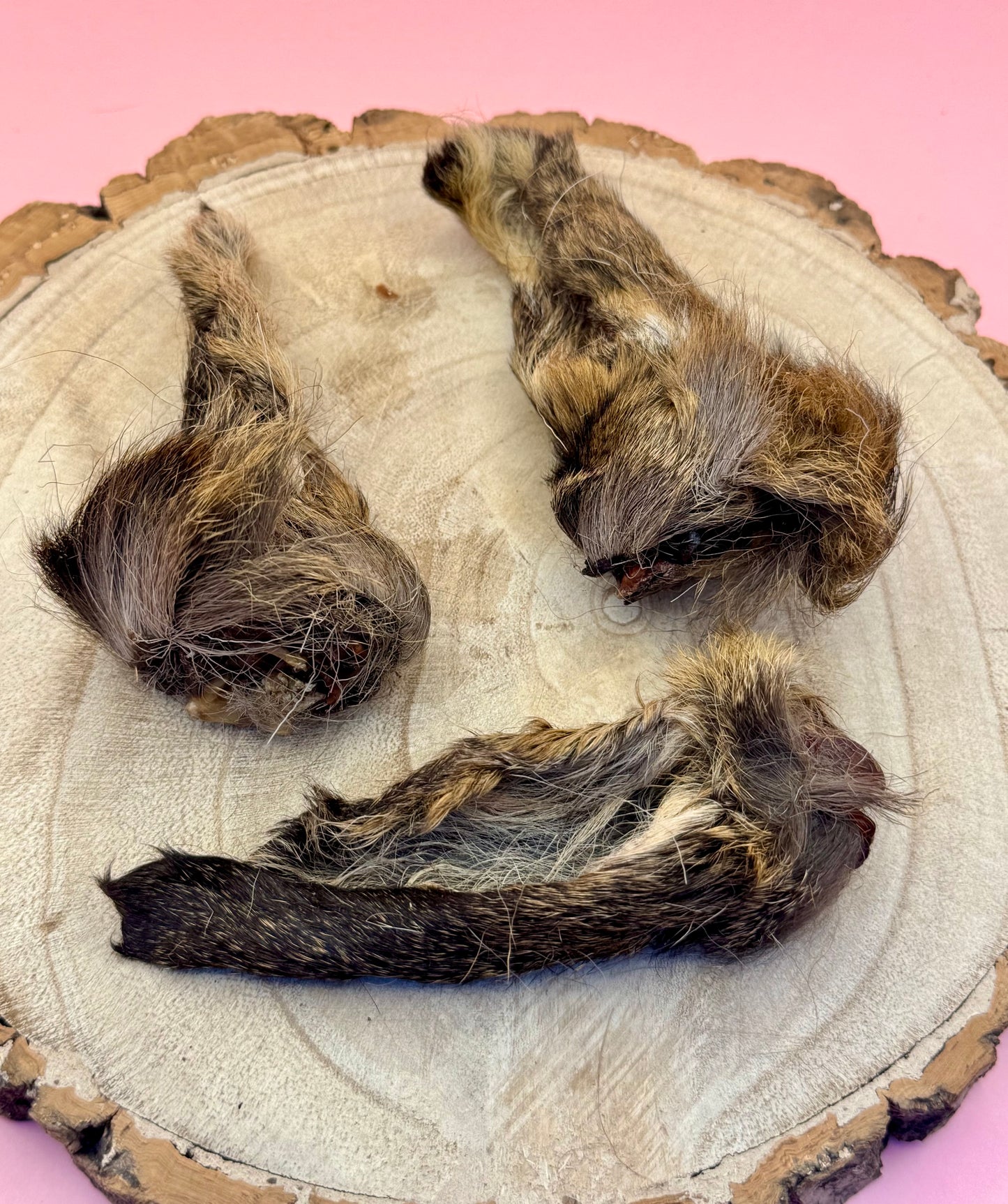 Hairy Venison Ears
