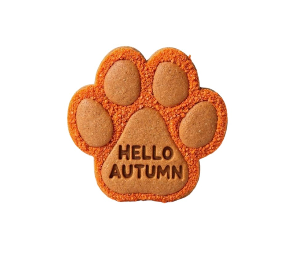 Nelson's Treats Autumn Biscuits