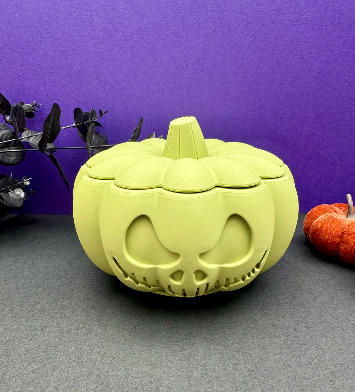 Pumpkin Spooky Feeding Bowl for Dogs | 2 Colours