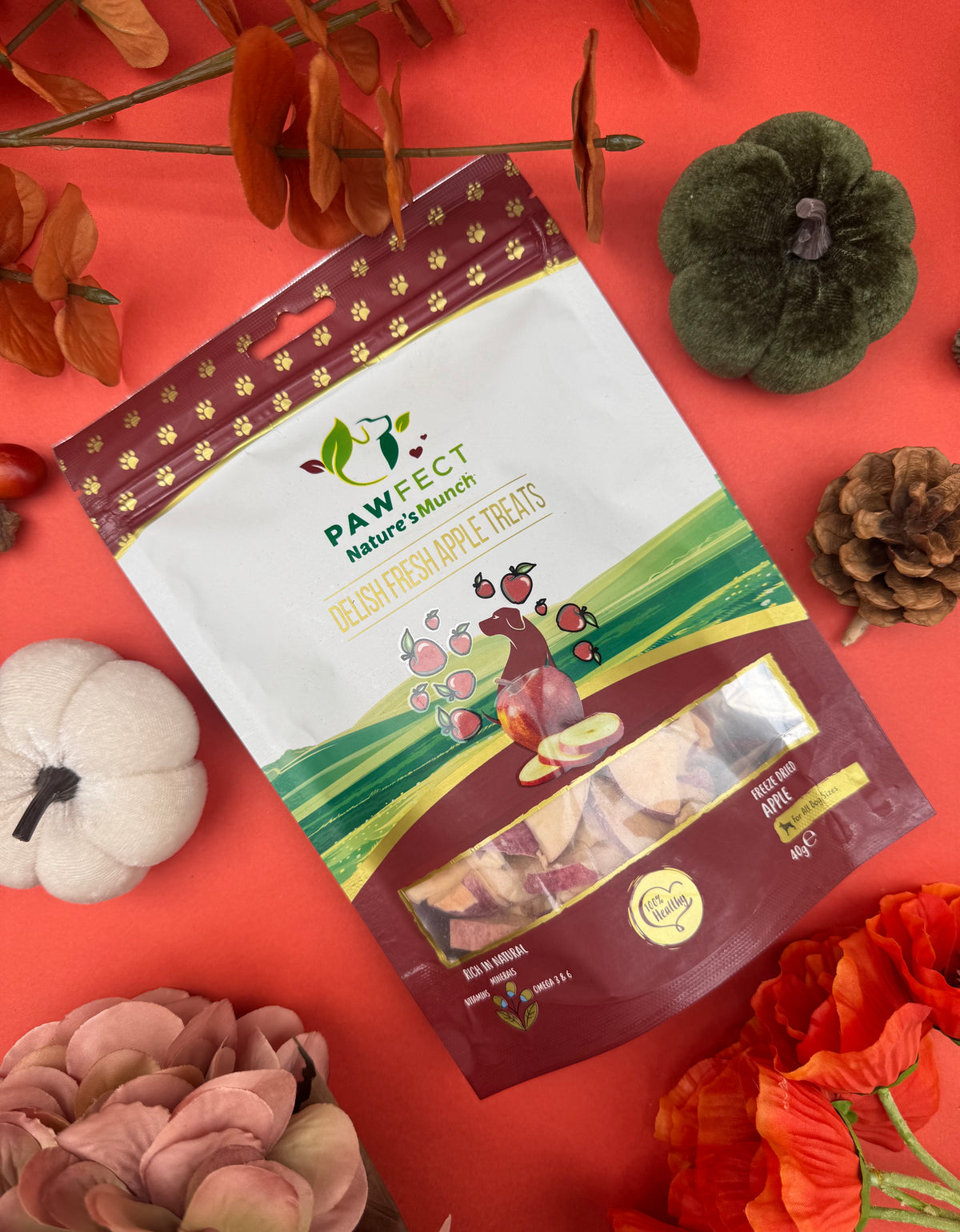 Pawfect Nature's Munch Freeze Dried Apple Treat