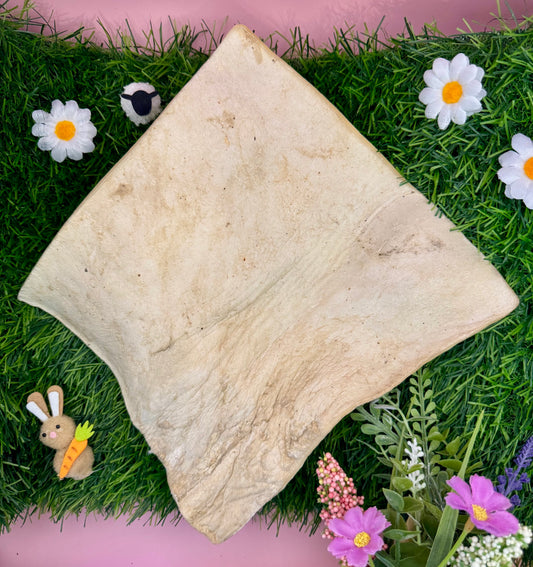 Buffalo Skin Plate