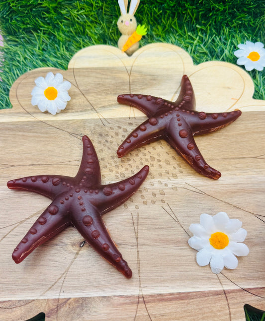 Apple, Broccoli & Mint Starfish Veggie Chew