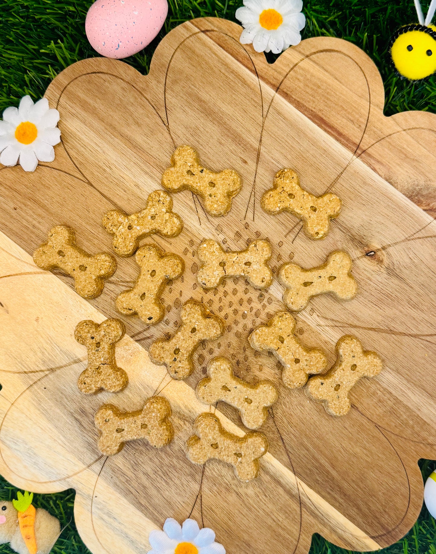 Salmon & Seaweed Biscuits