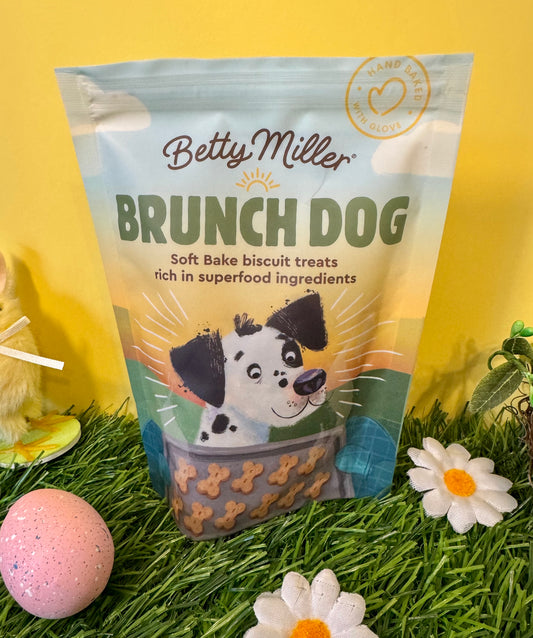 Betty Miller Brunch Dog