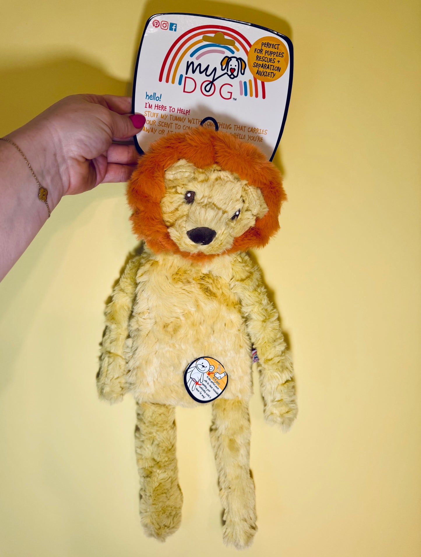 My Dog Lion Toy