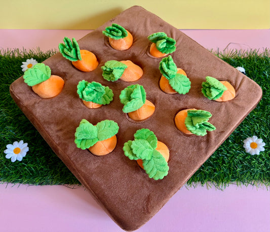 Carrot Interactive Toy
