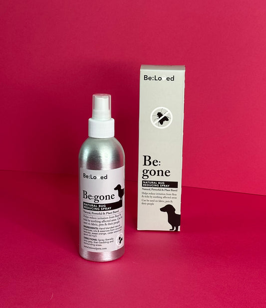 Be:Loved Dog Bug Free Spray