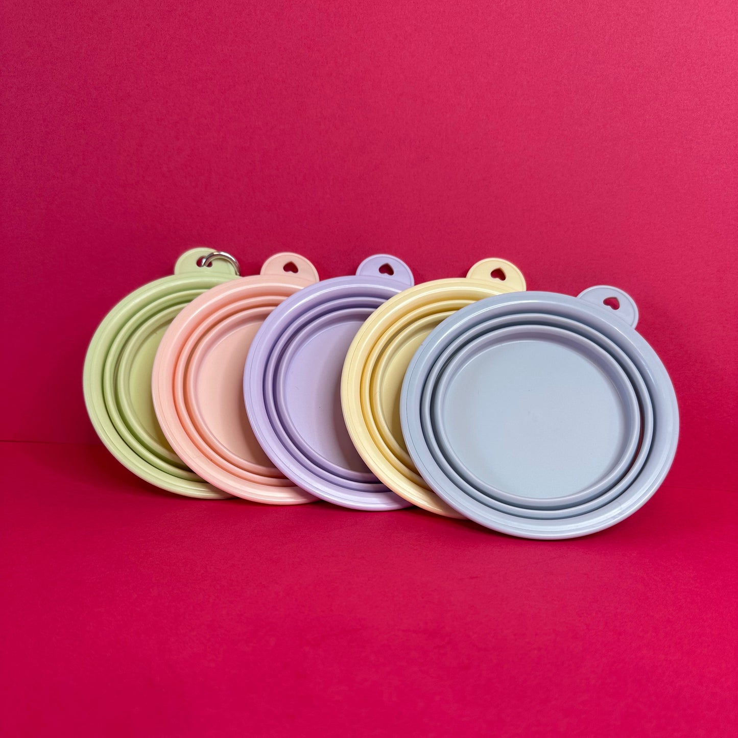 Foldable Pet Bowl | 4 Colours