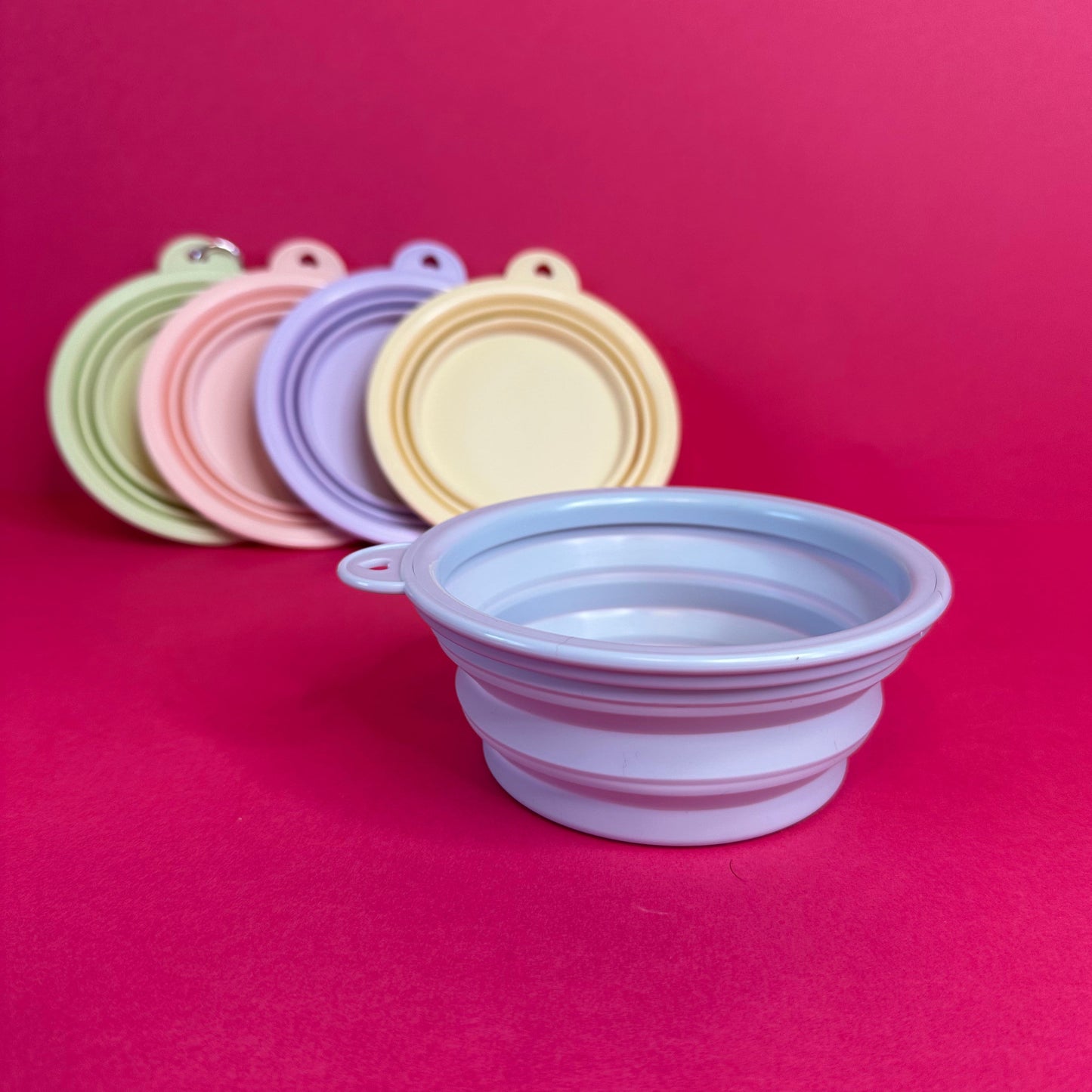Foldable Pet Bowl | 4 Colours