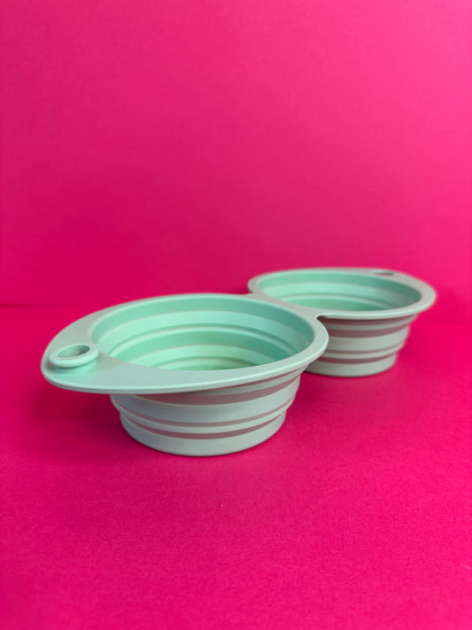 Travel Food & Water Bowl
