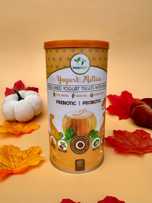 Pawfect Yogurt Melties Prebiotic and Probiotic Dog Treats: Pumpkin & Yogurt