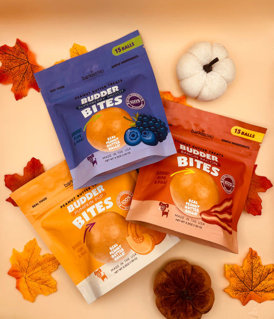 BUDDY BUDDER Bites | 3 Flavours