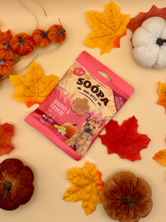 Banana & Pumpkin Mini Bites