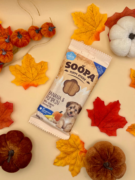 Soopa Banana & Pumpkin Puppy Dog Dental Sticks
