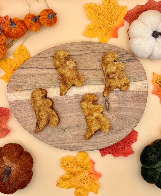 Chicken & Duck Dinosaurs