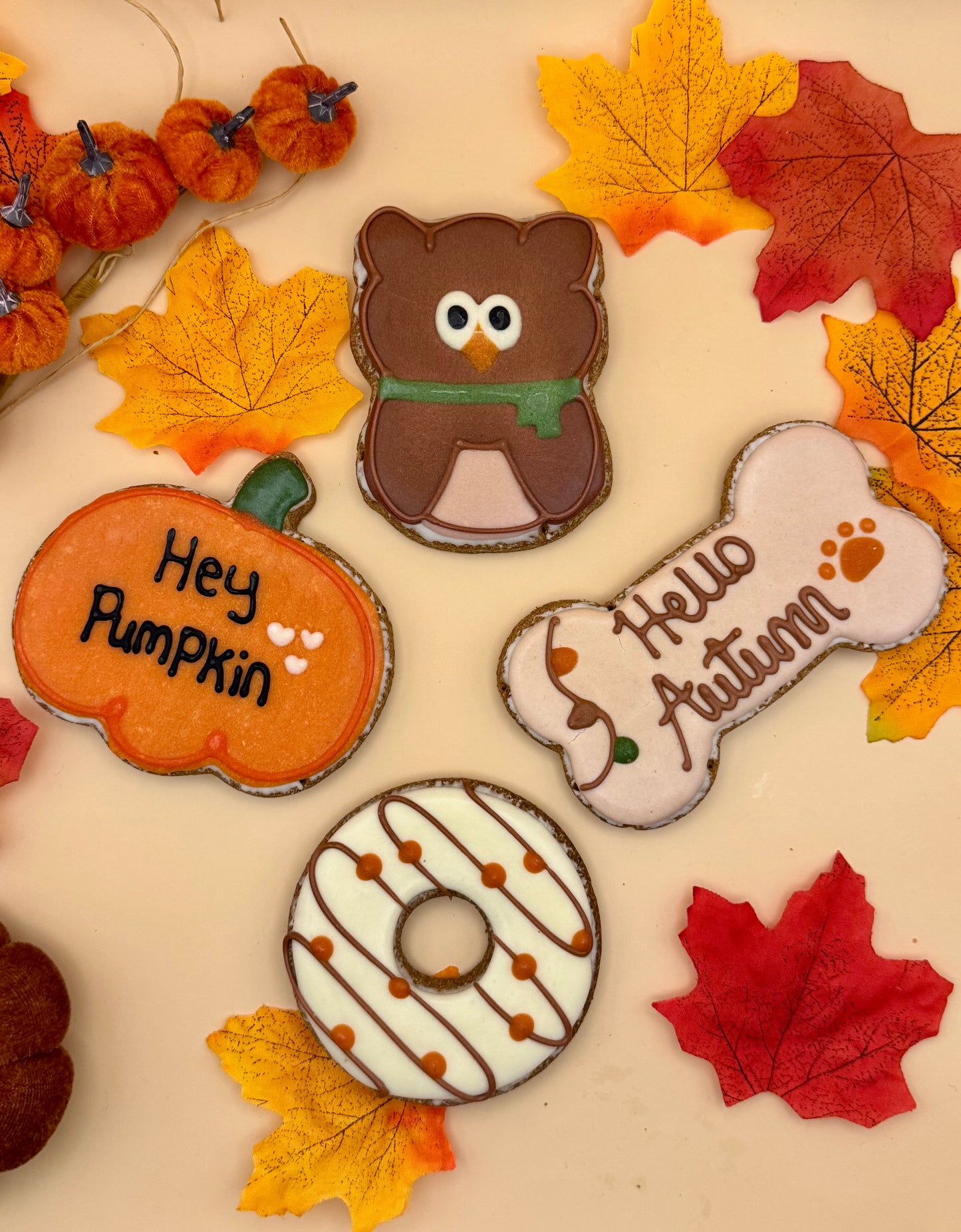 Nelson's Treats Autumn Biscuits
