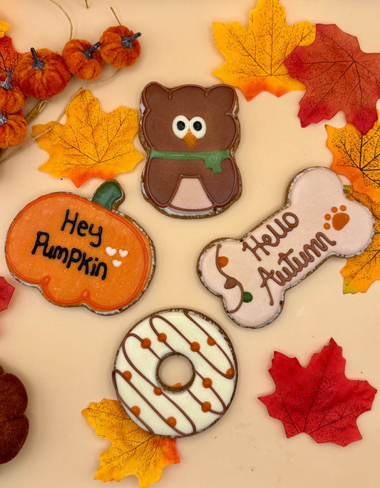 Nelson's Treats Autumn Biscuits