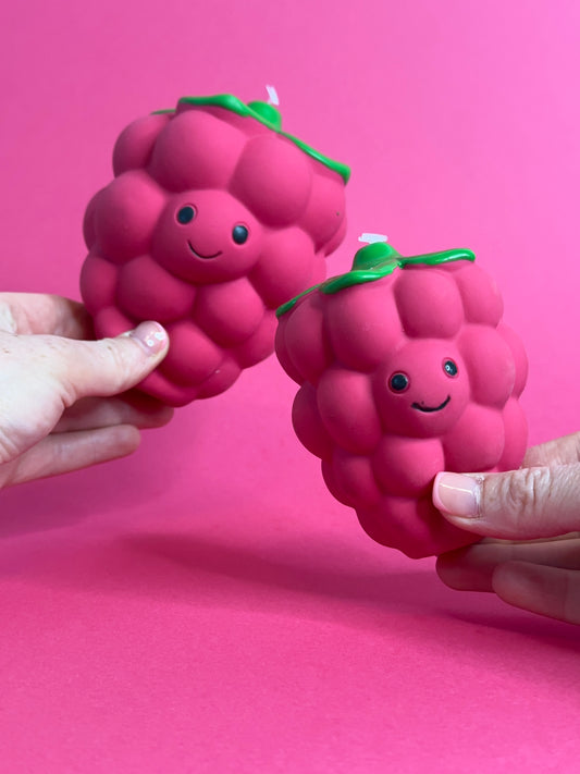 Foodie Faces Latex Toy | Raspberry | 2 Sizes