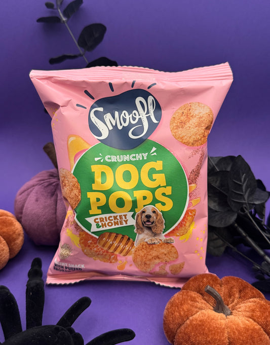 Smoofl Dog Pops - Cricket & Honey