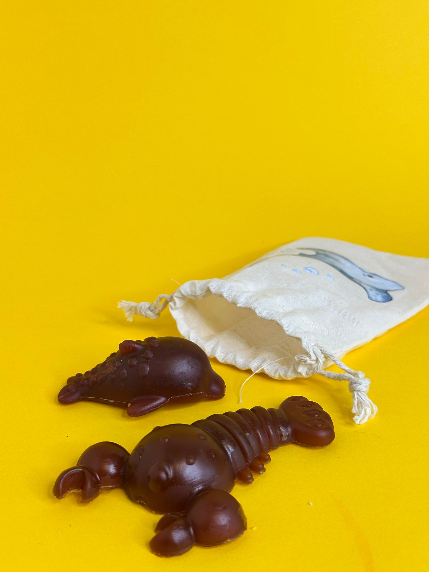 Surf & Sniff Treat Bags