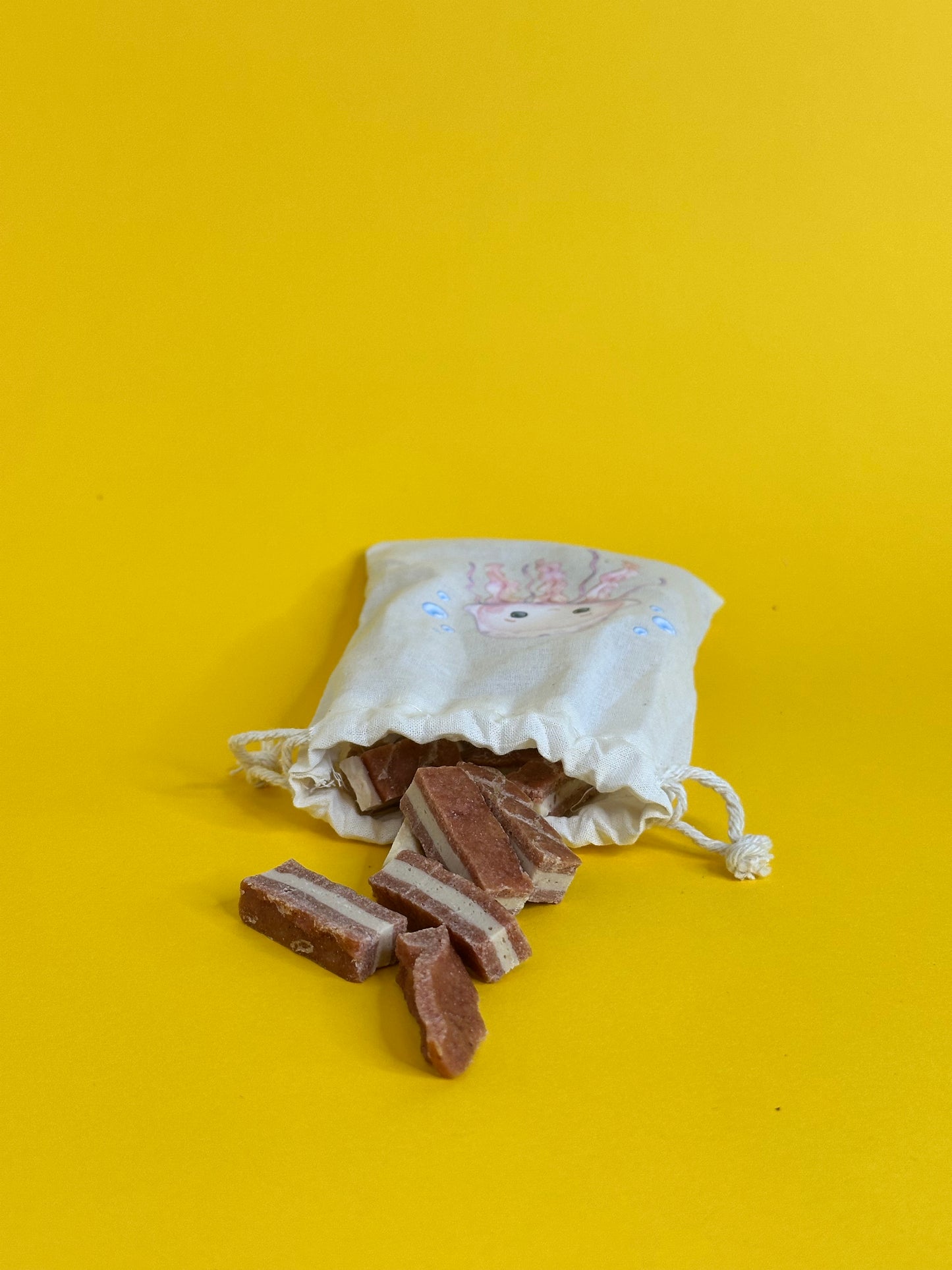 Surf & Sniff Treat Bags