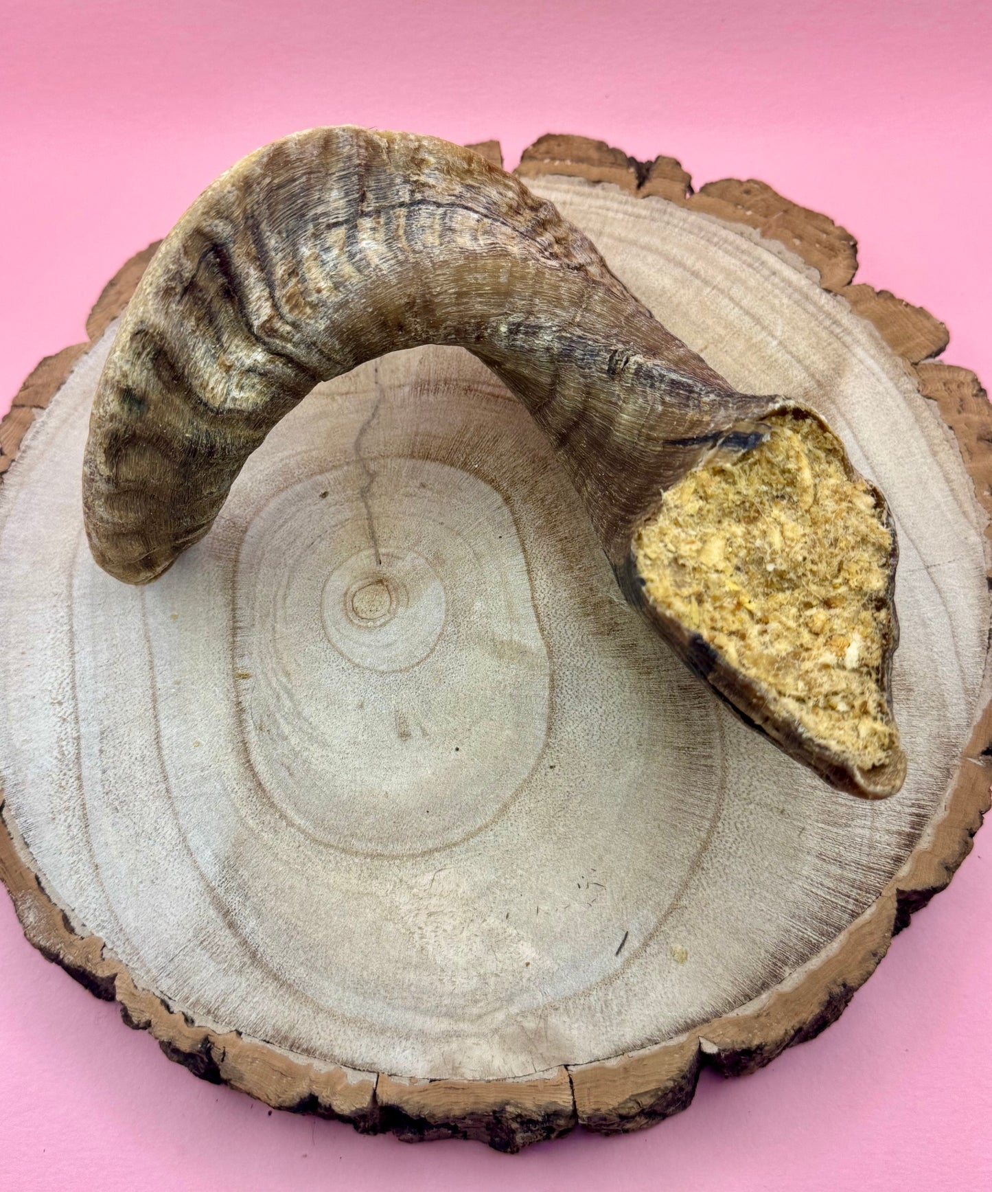 Anco Collagen Filled Lamb Horn