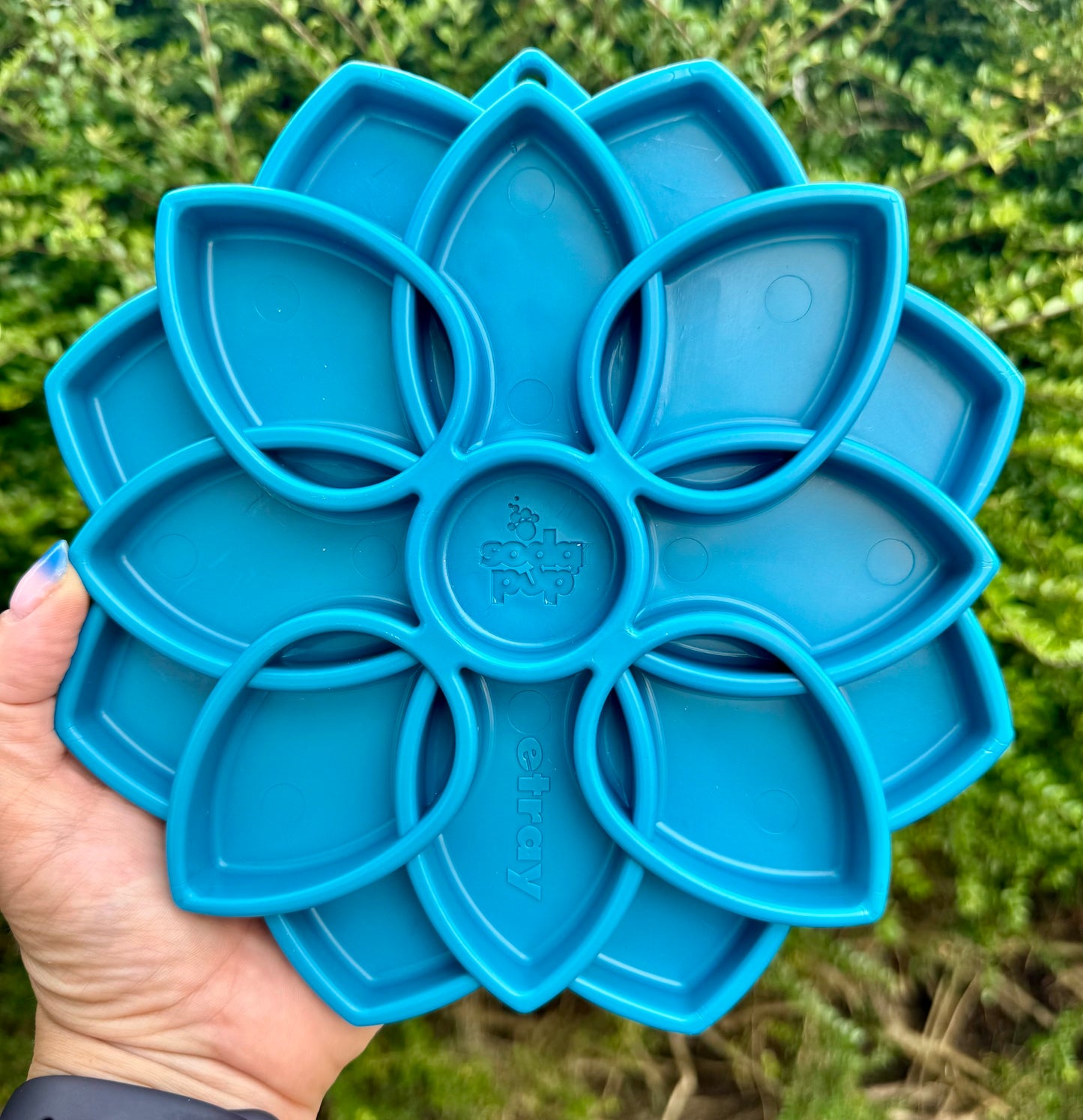 Mandala Enrichment Tray