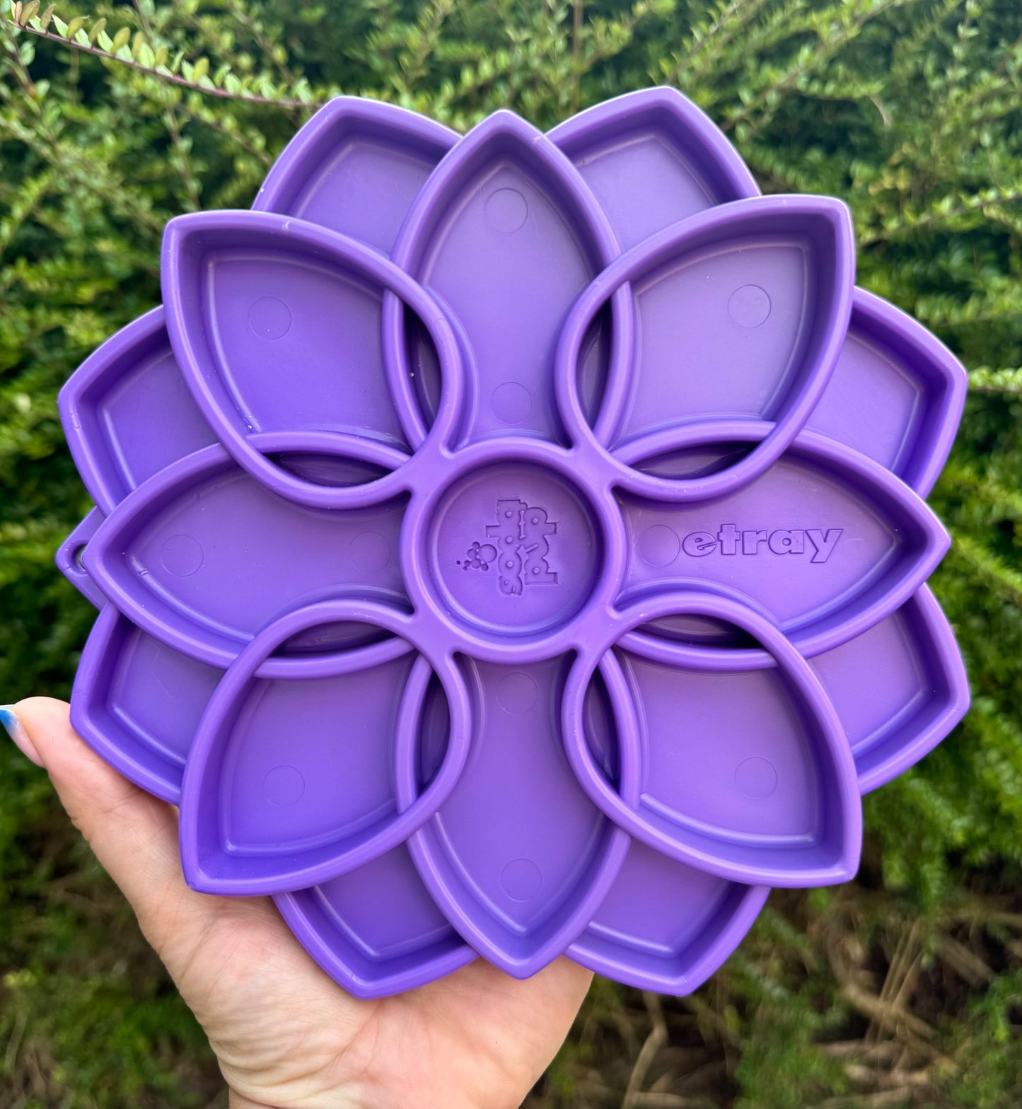 Mandala Enrichment Tray
