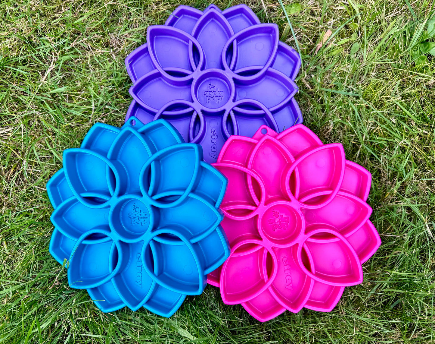 Mandala Enrichment Tray