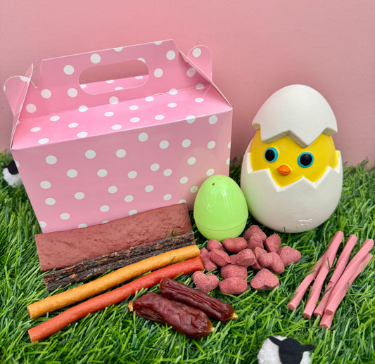 Springtime Pup Treat Box