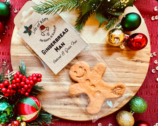 Life of Riley Festive Gingerbread Man