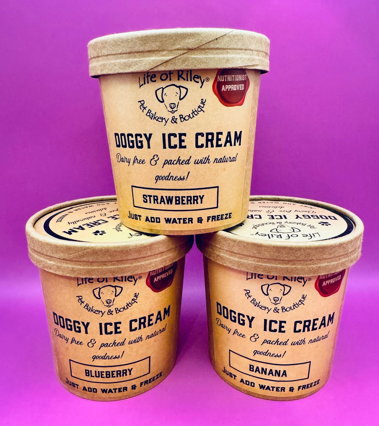 Doggy Ice Cream Mix and Make | Strawberry | Blueberry | Banana | Coconut