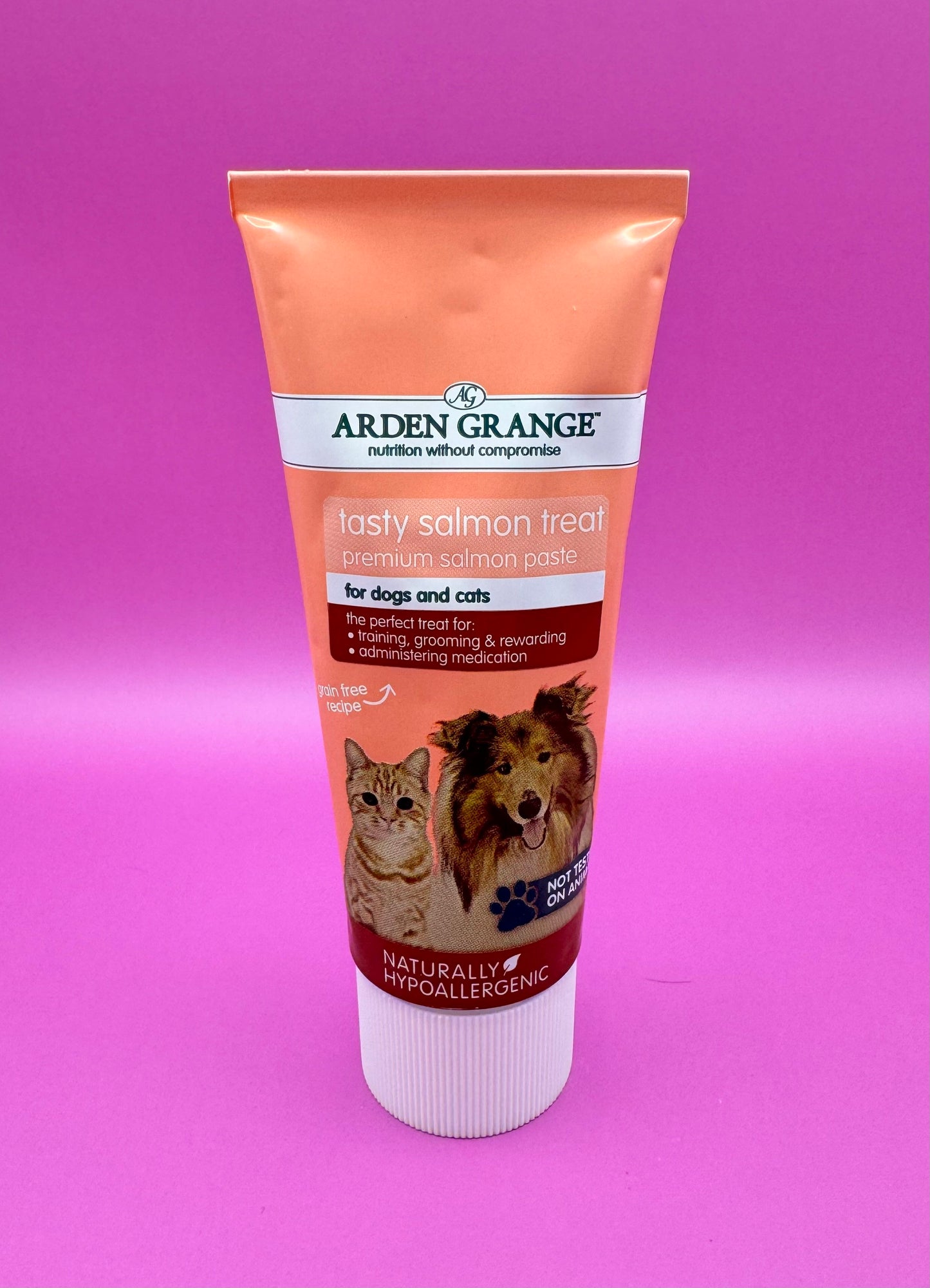 Arden Grange Tasty Treat Salmon Paste
